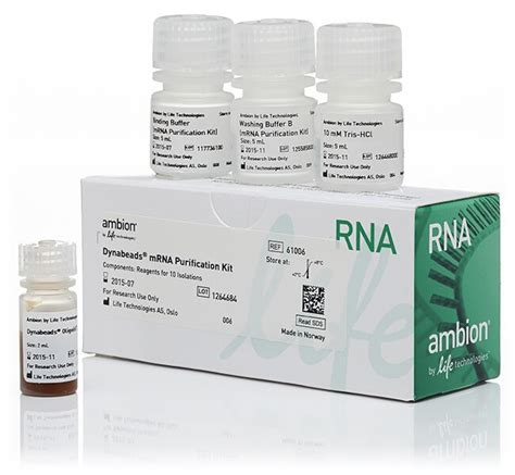 mrna purification kit